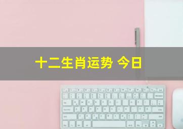 十二生肖运势 今日